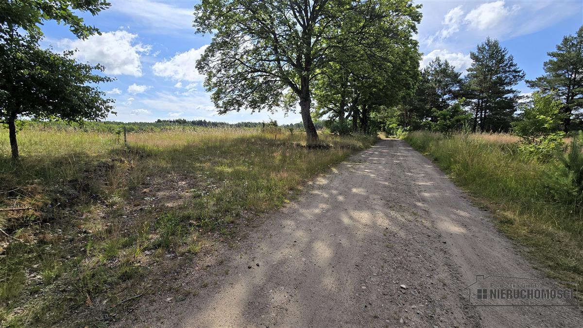 Sprzedaż Działka budowlana Dołgie