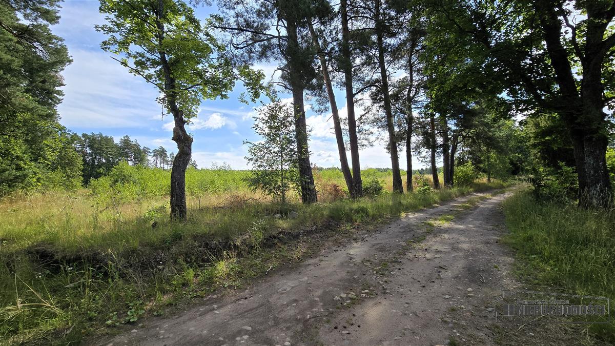 Sprzedaż Działka budowlana Dołgie