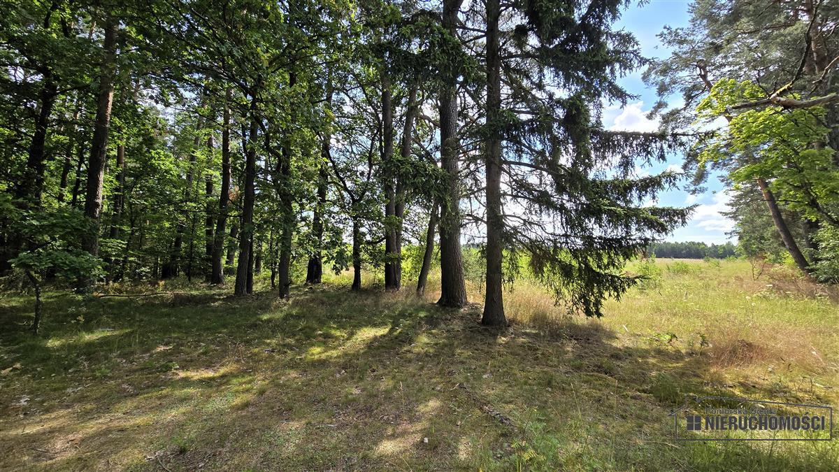 Sprzedaż Działka budowlana Dołgie