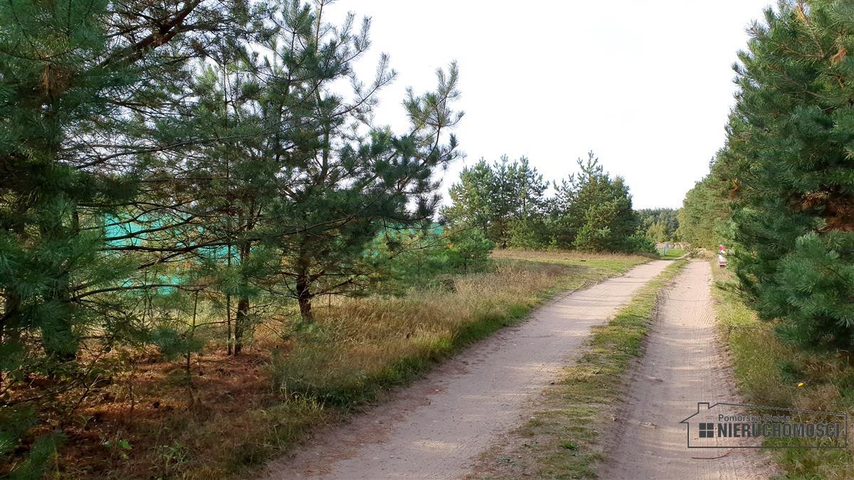 Sprzedaż Działka rolna Nobliny