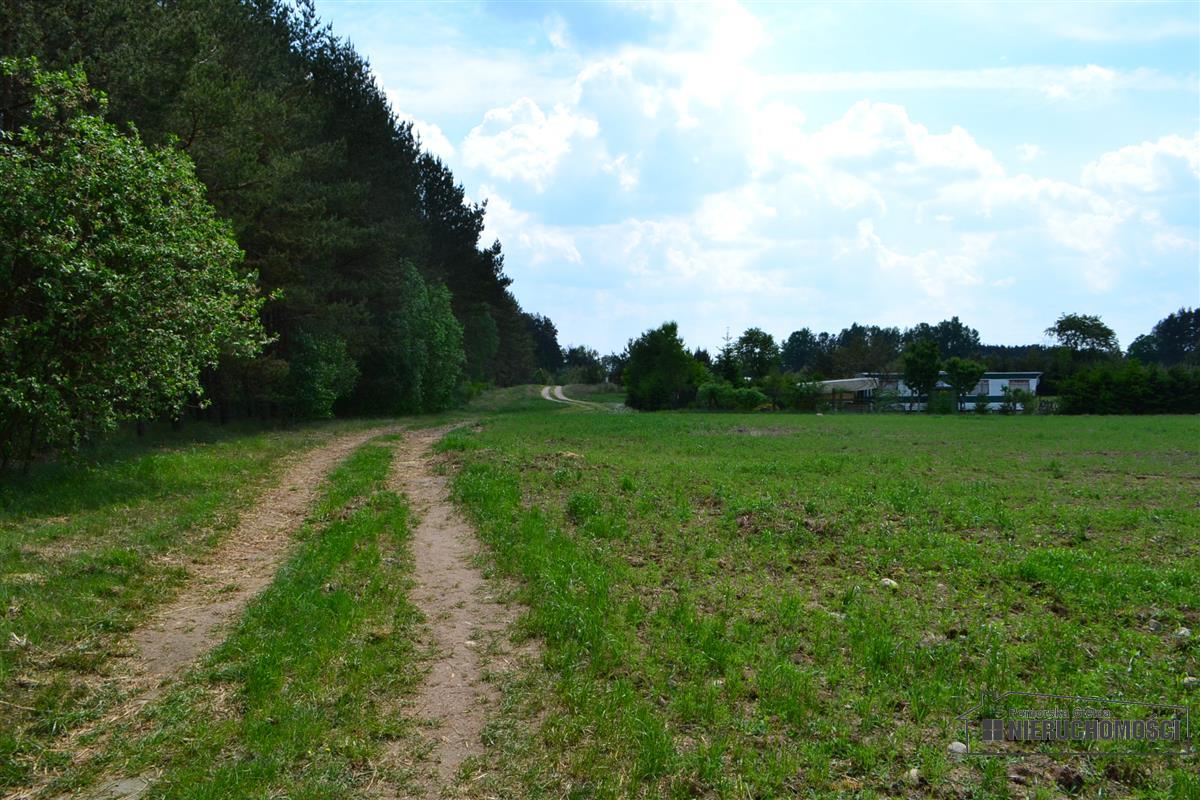 Sprzedaż Działka rolna Nobliny