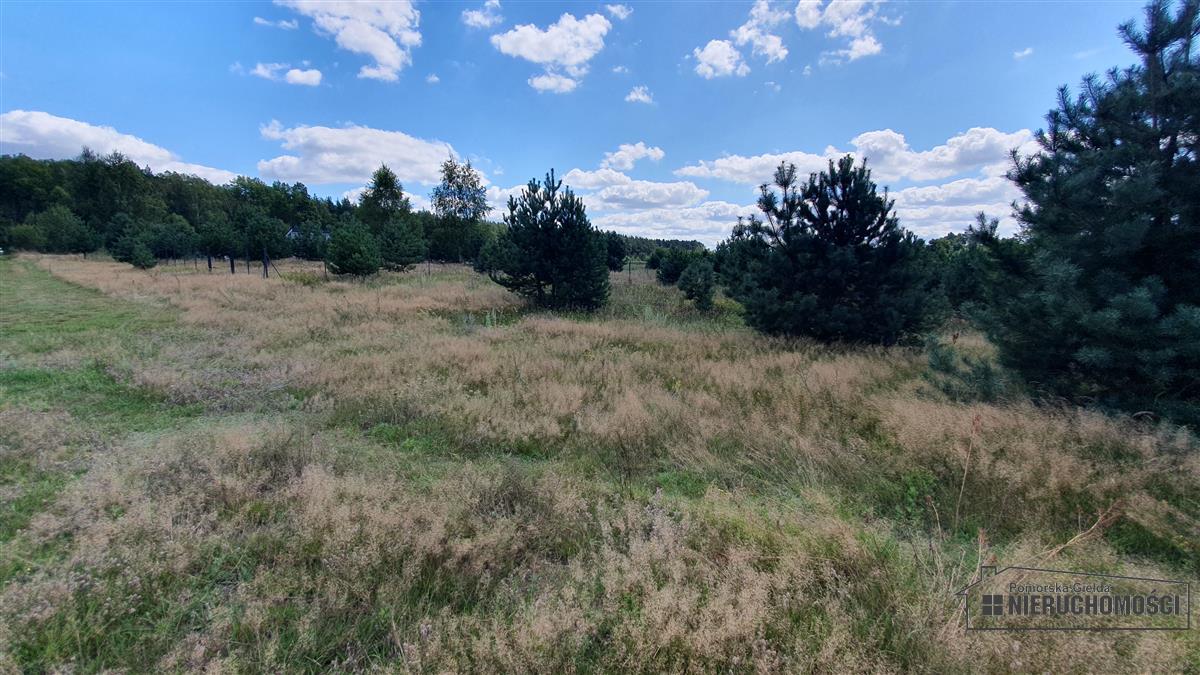 Sprzedaż Działka rolna Nobliny