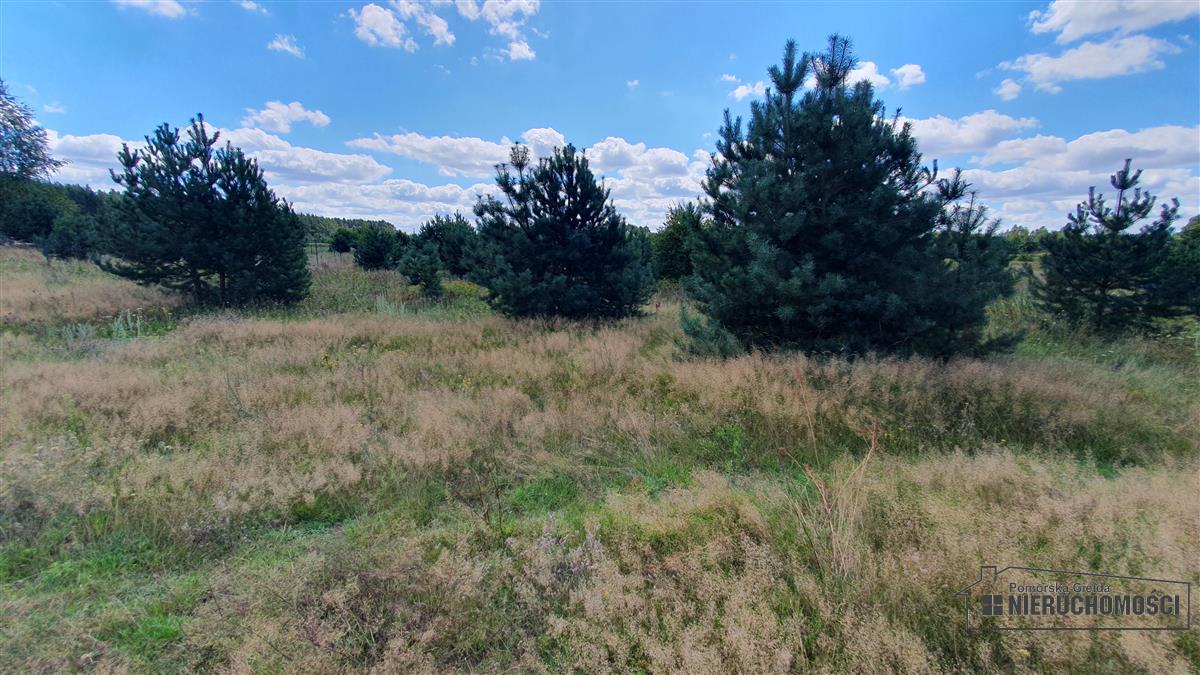 Sprzedaż Działka rolna Nobliny