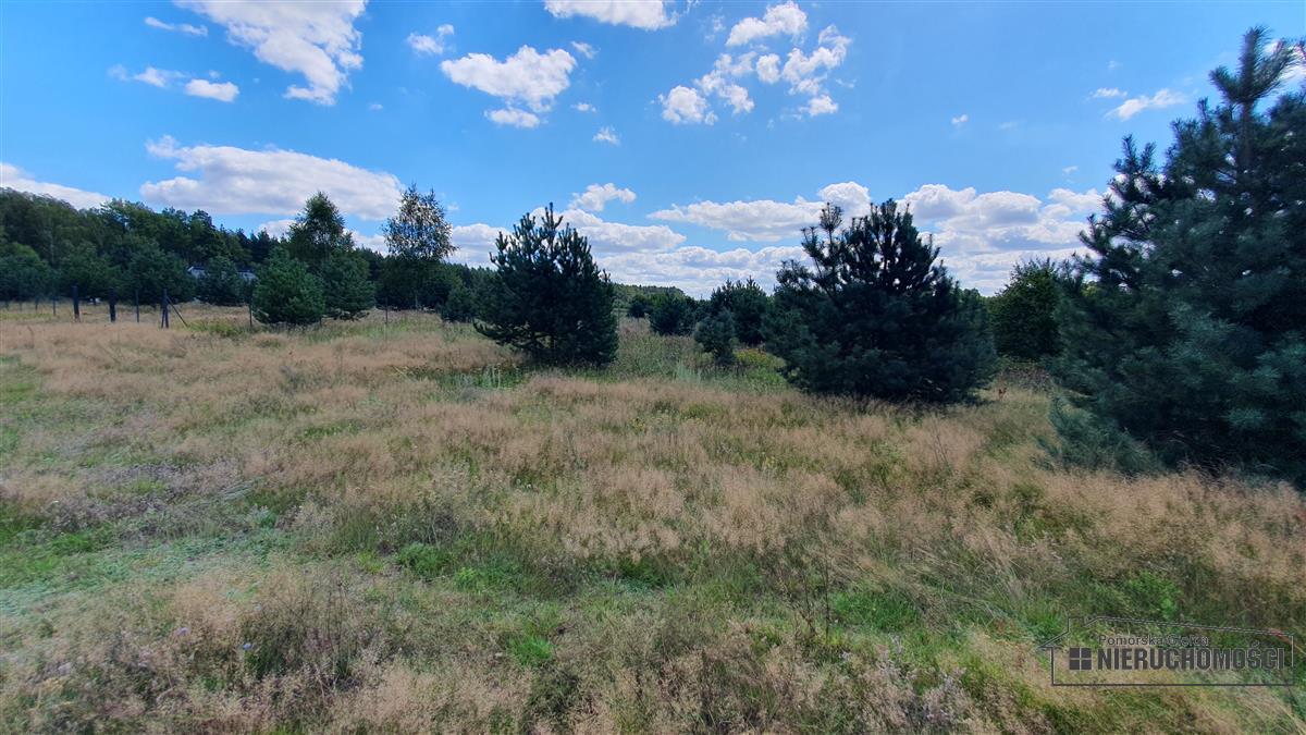Sprzedaż Działka rolna Nobliny