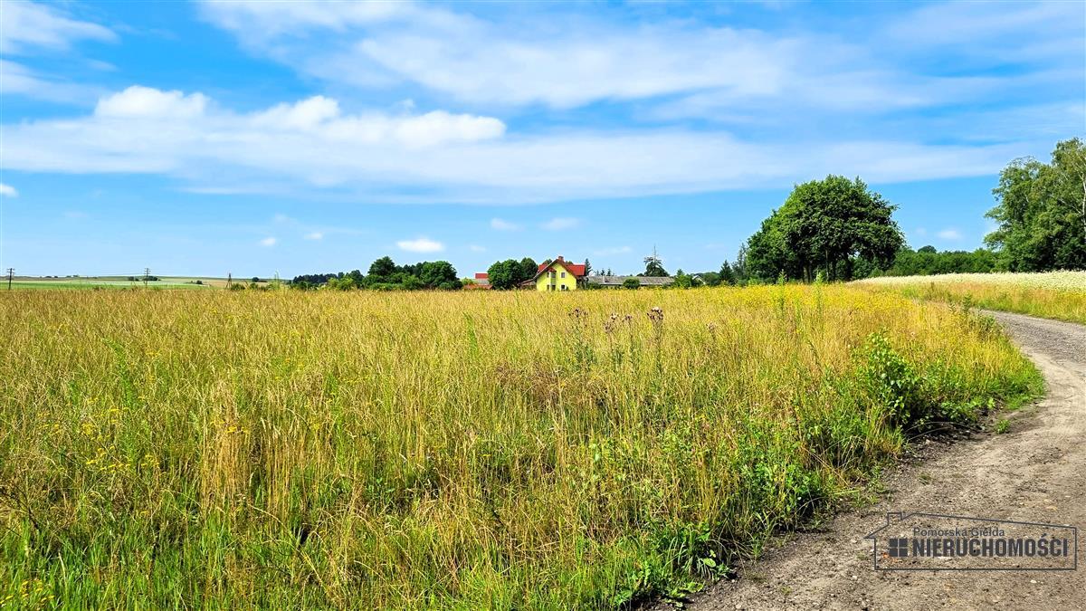 Sprzedaż Działka usługowa Sitno