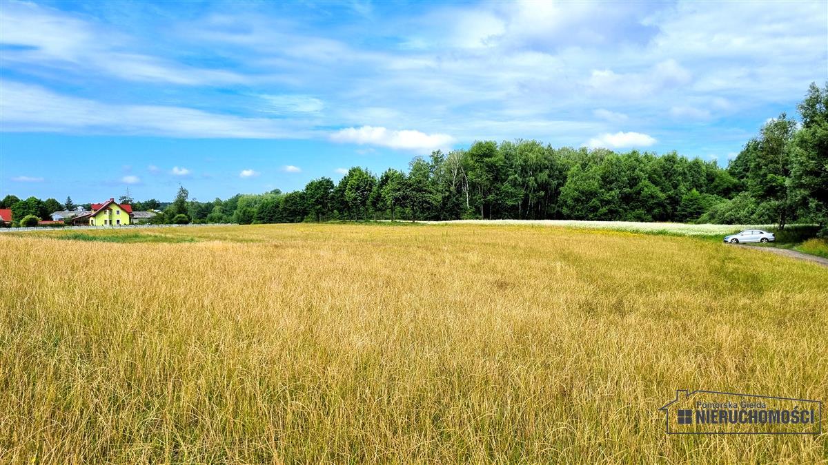 Sprzedaż Działka usługowa Sitno