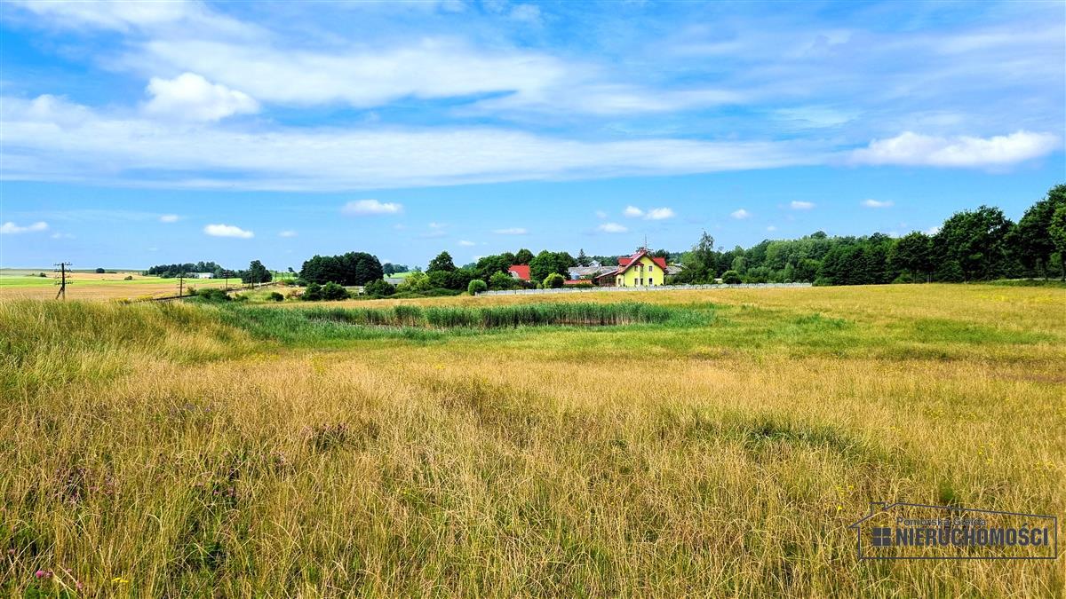 Sprzedaż Działka usługowa Sitno