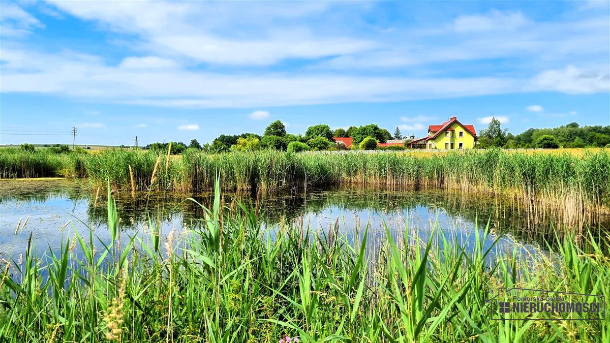 Sprzedaż Działka usługowa Sitno