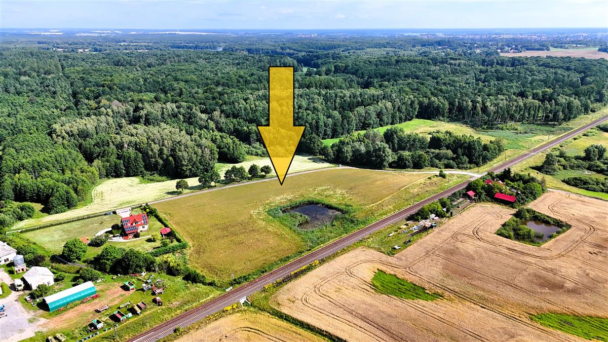 Sprzedaż Działka usługowa Sitno