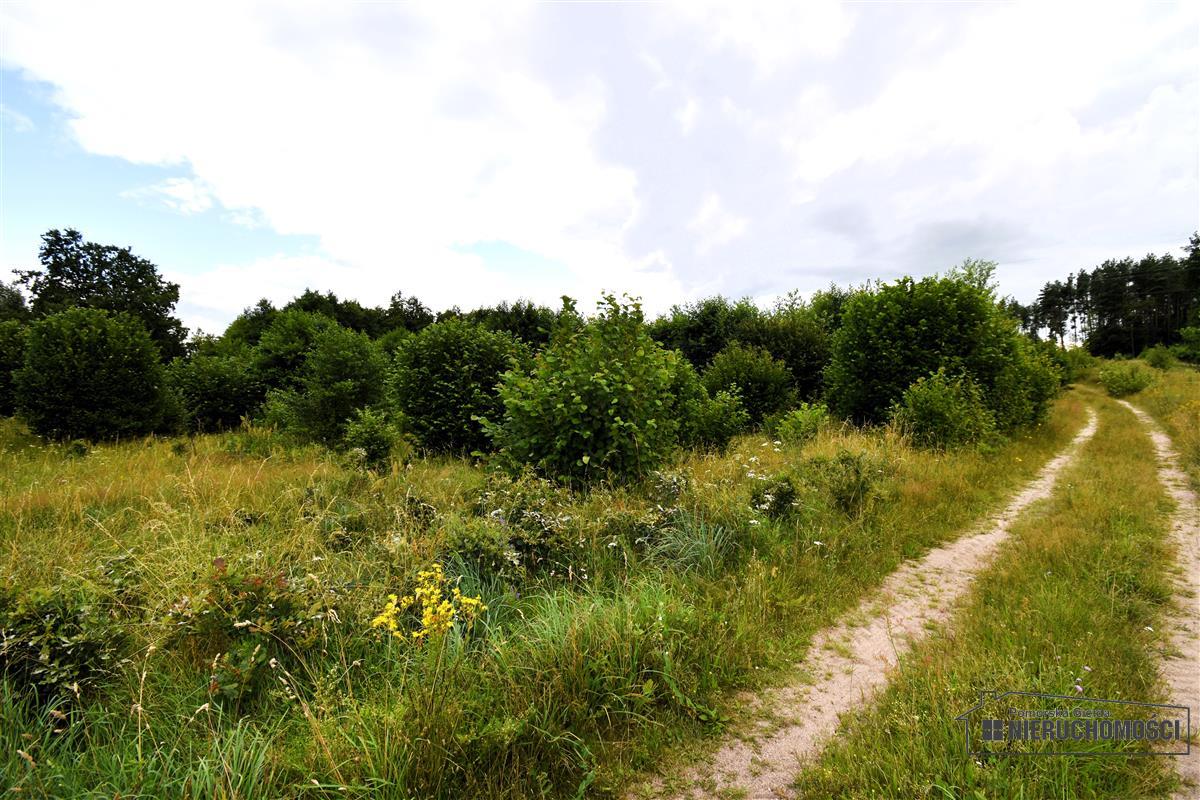 Sprzedaż Działka Drzewiany