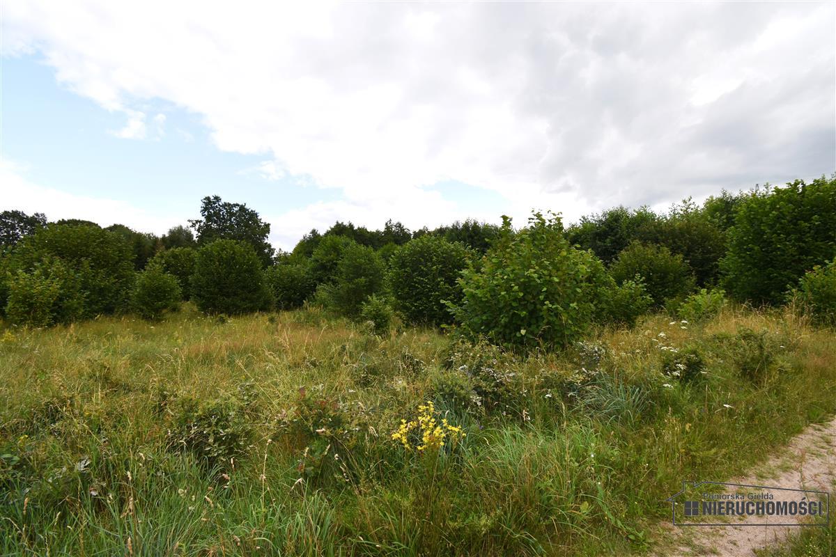 Sprzedaż Działka Drzewiany