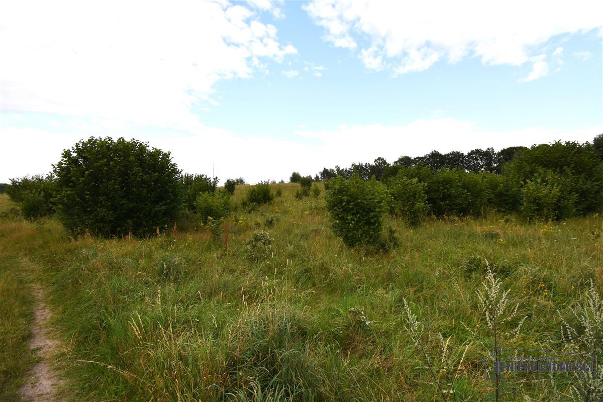 Sprzedaż Działka Drzewiany