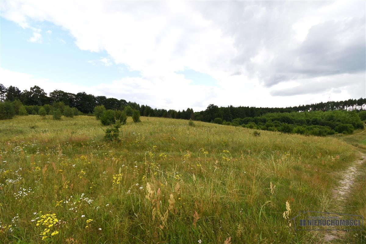 Sprzedaż Działka Drzewiany