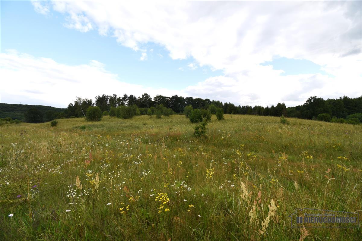 Sprzedaż Działka Drzewiany