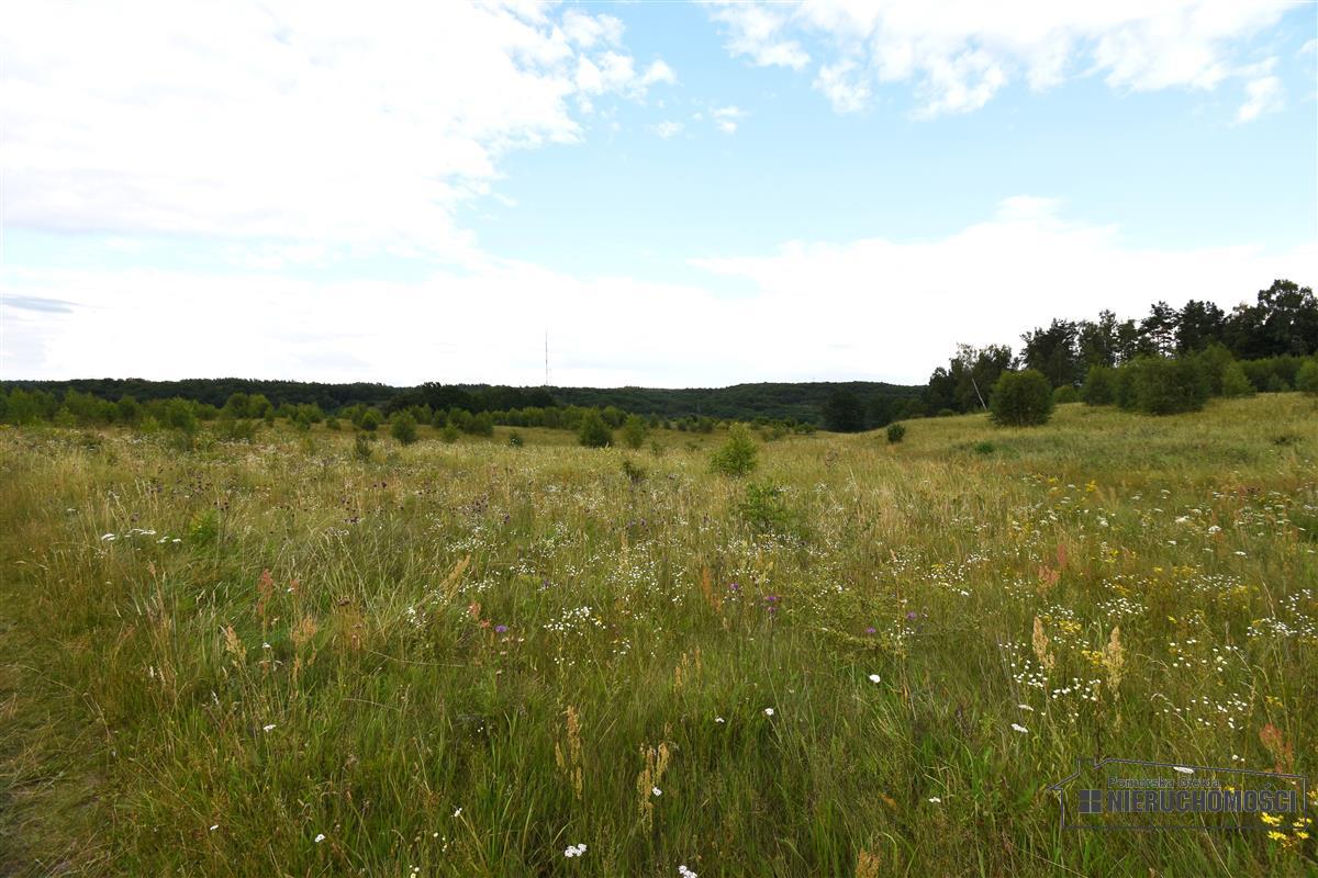 Sprzedaż Działka Drzewiany