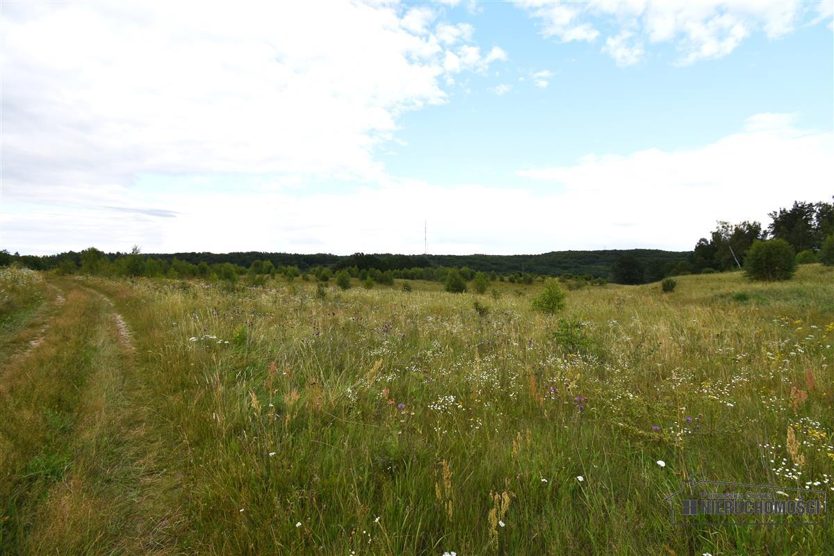 Sprzedaż Działka Drzewiany