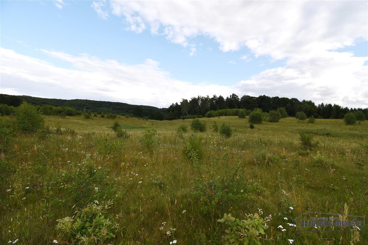 Sprzedaż Działka Drzewiany