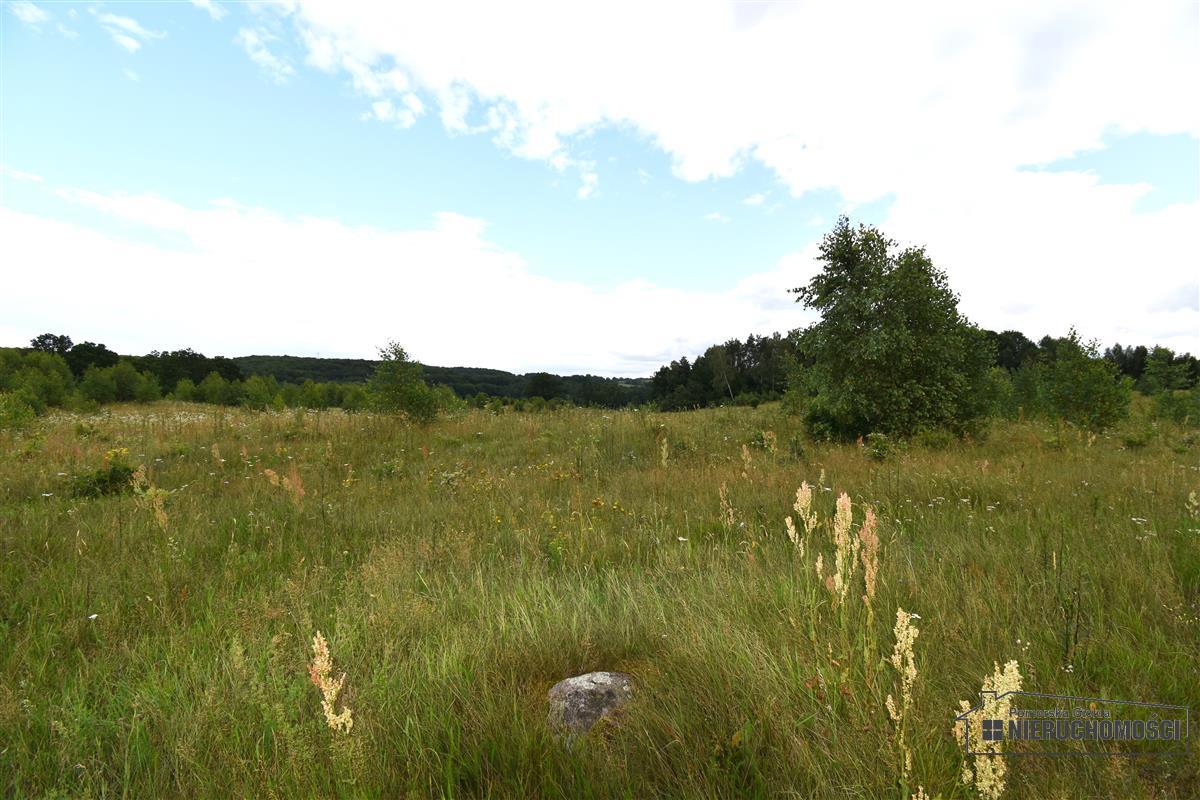 Sprzedaż Działka Drzewiany