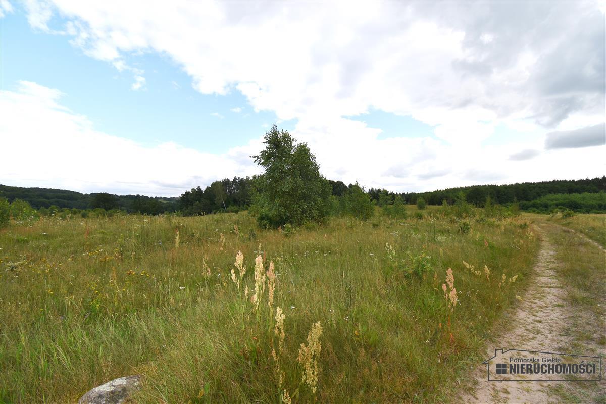 Sprzedaż Działka Drzewiany