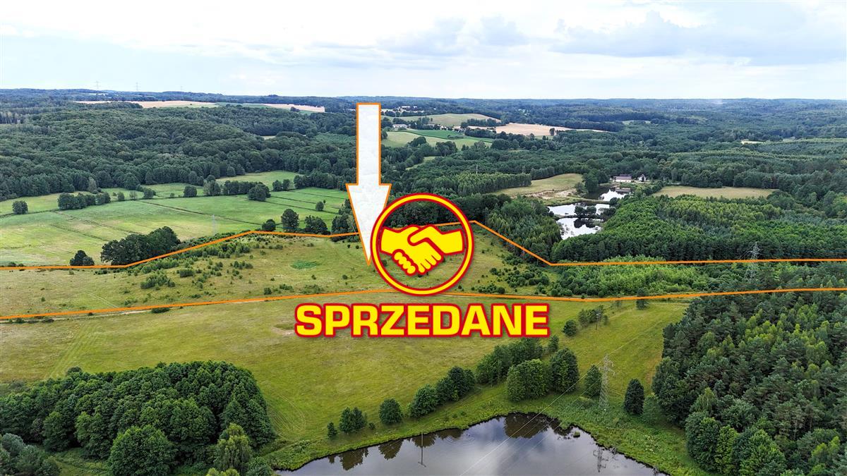 Sprzedaż Działka Drzewiany