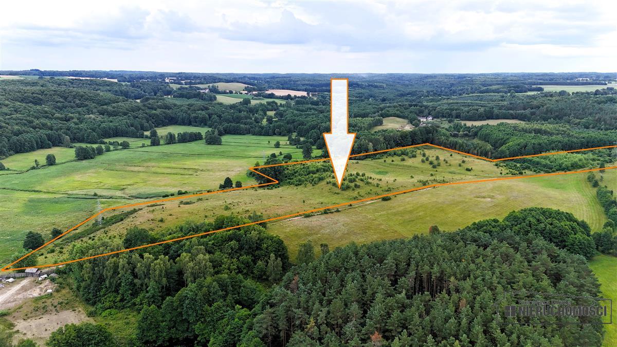 Sprzedaż Działka Drzewiany