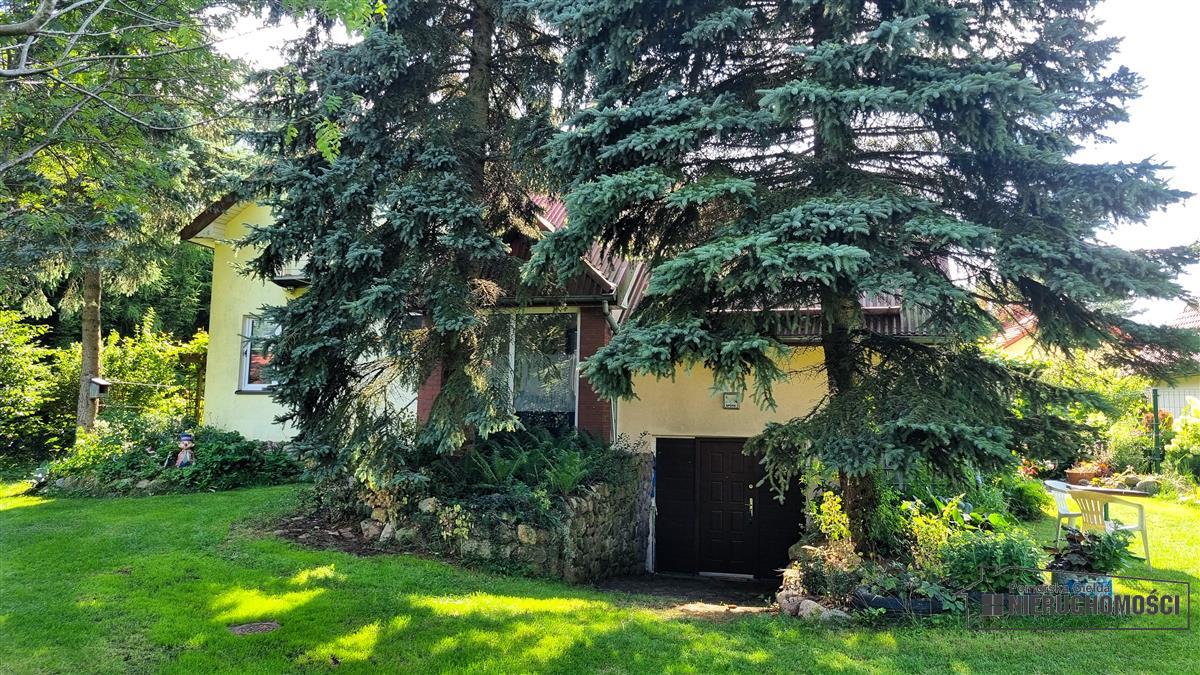 Sprzedaż Dom wolnostojący Spore