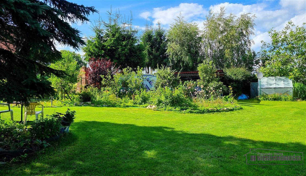 Sprzedaż Dom wolnostojący Spore