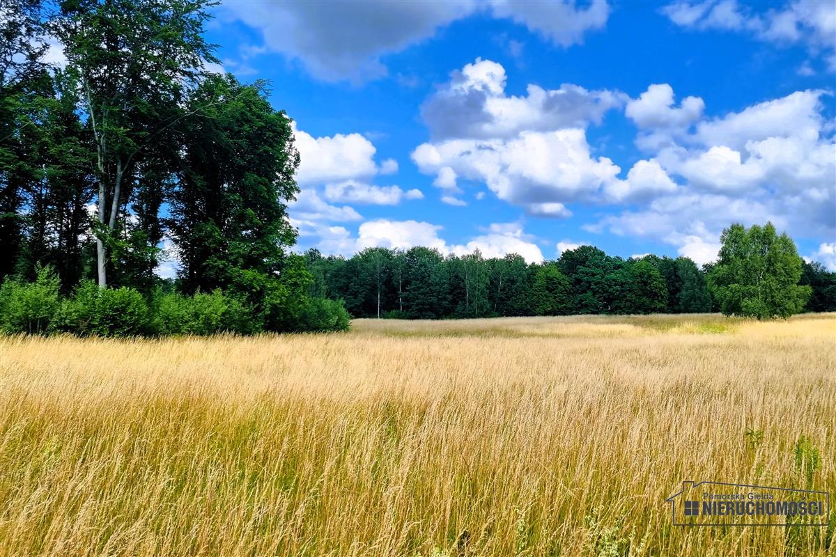 Sprzedaż Działka budowlana Knyki