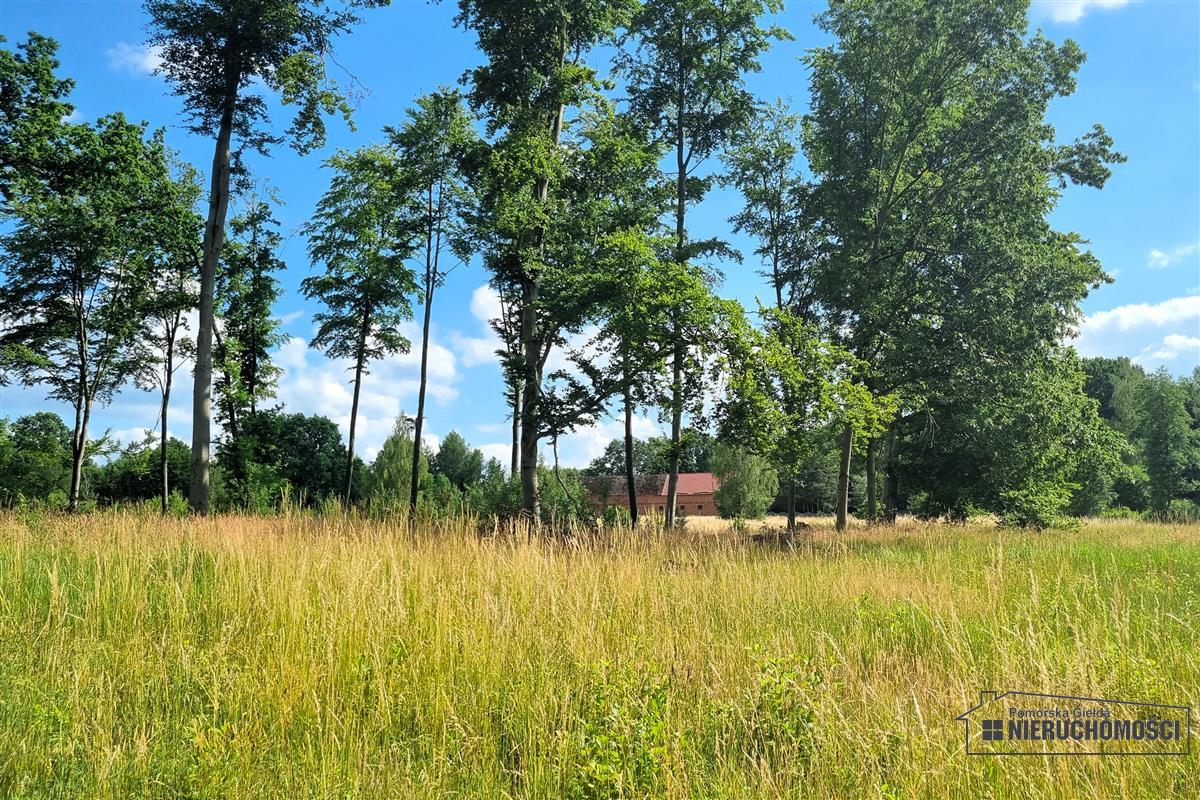 Sprzedaż Działka budowlana Knyki