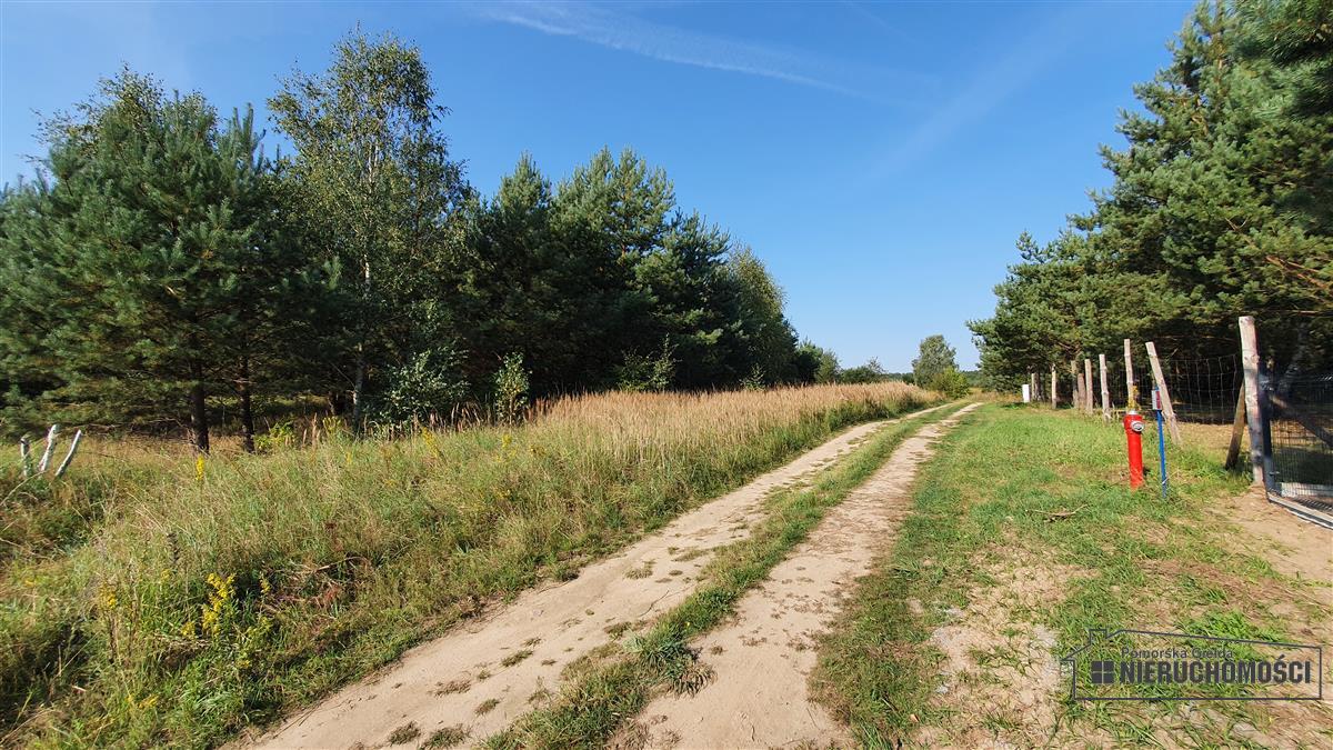Sprzedaż Działka budowlana Dąbrowica