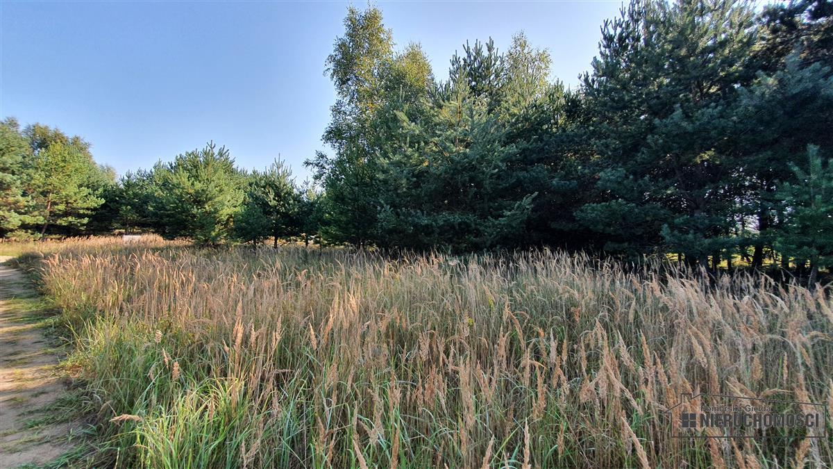 Sprzedaż Działka budowlana Dąbrowica