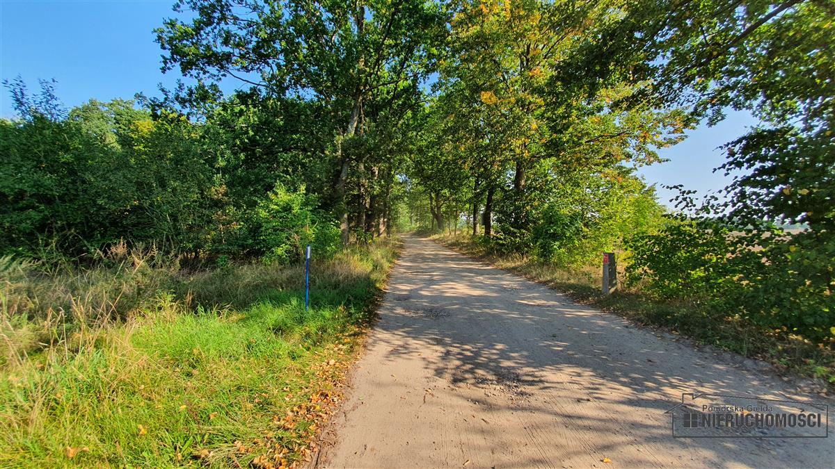 Sprzedaż Działka budowlana Dąbrowica