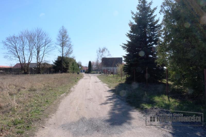 widok na drogę dojazdową