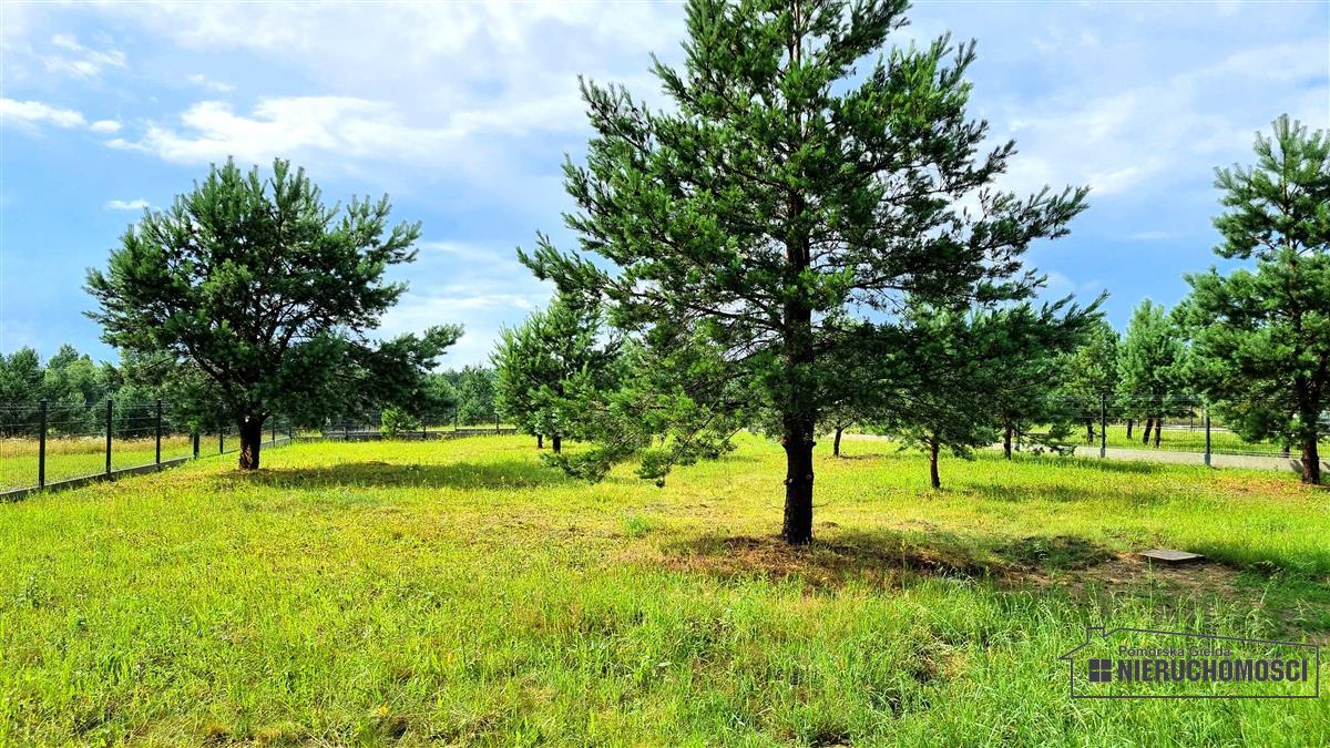 Sprzedaż Działka budowlana Dołgie