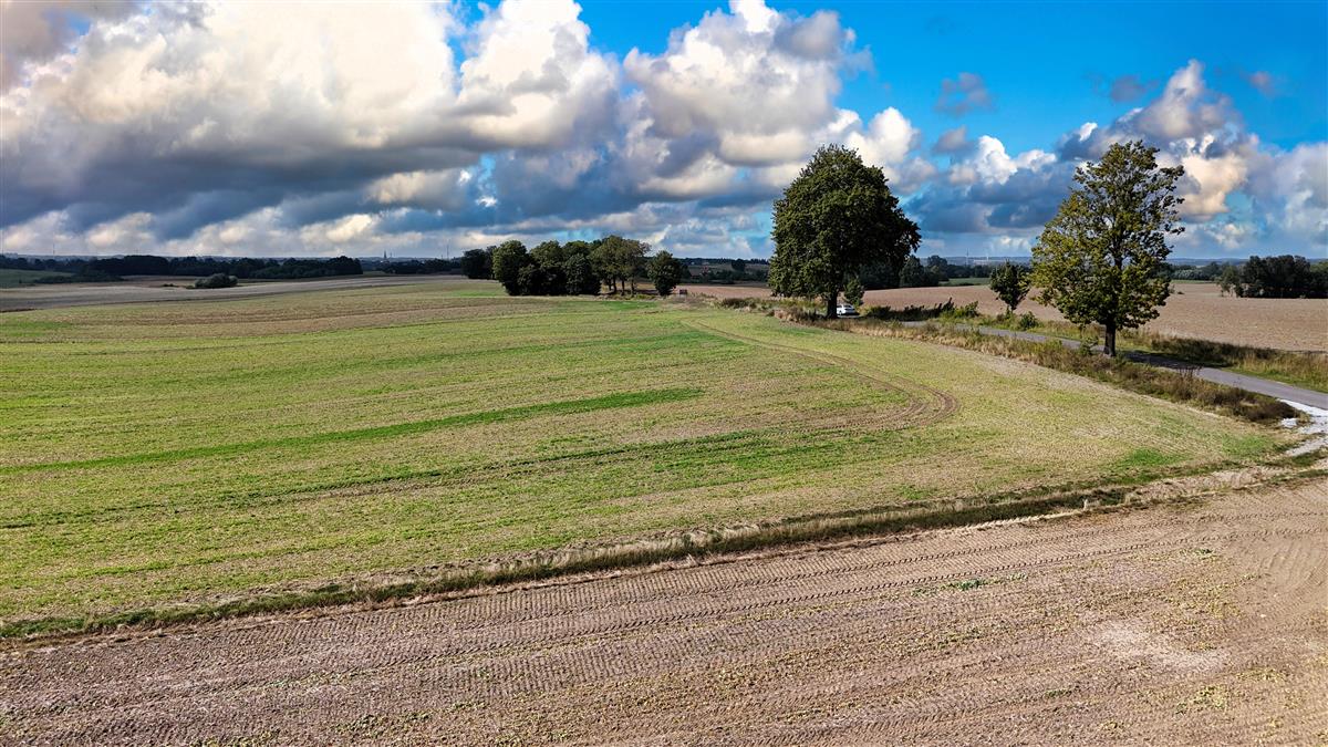Sprzedaż Działka budowlana Marcelin