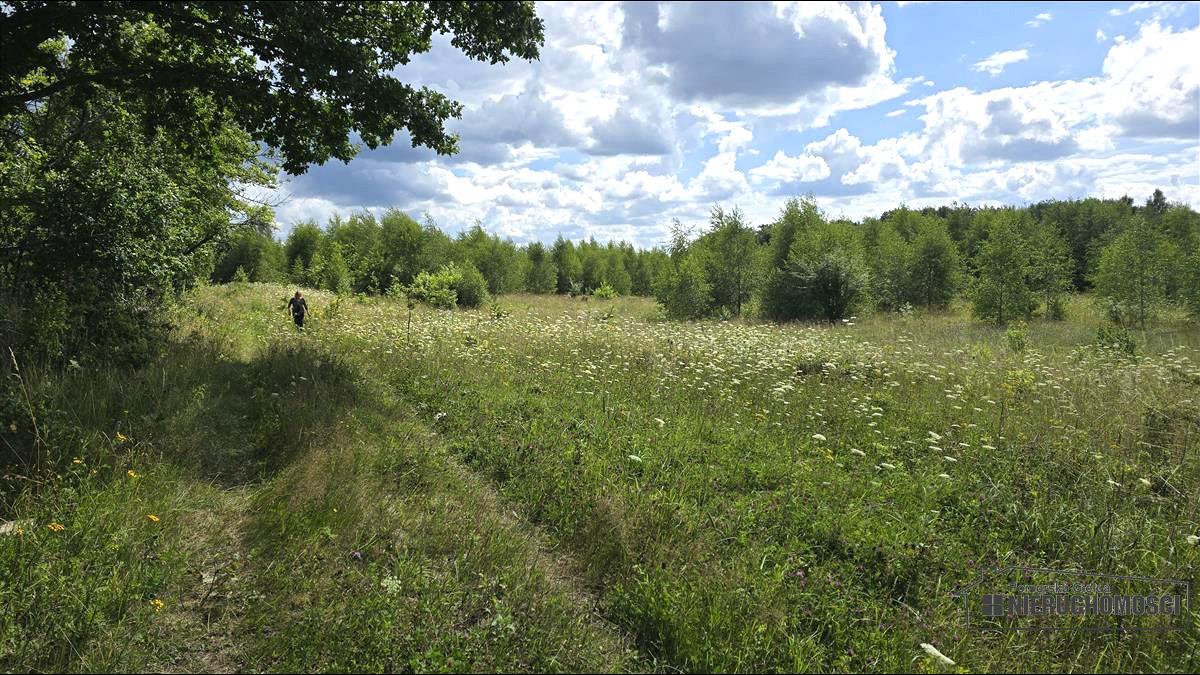 Sprzedaż Działka siedliskowa Silnowo