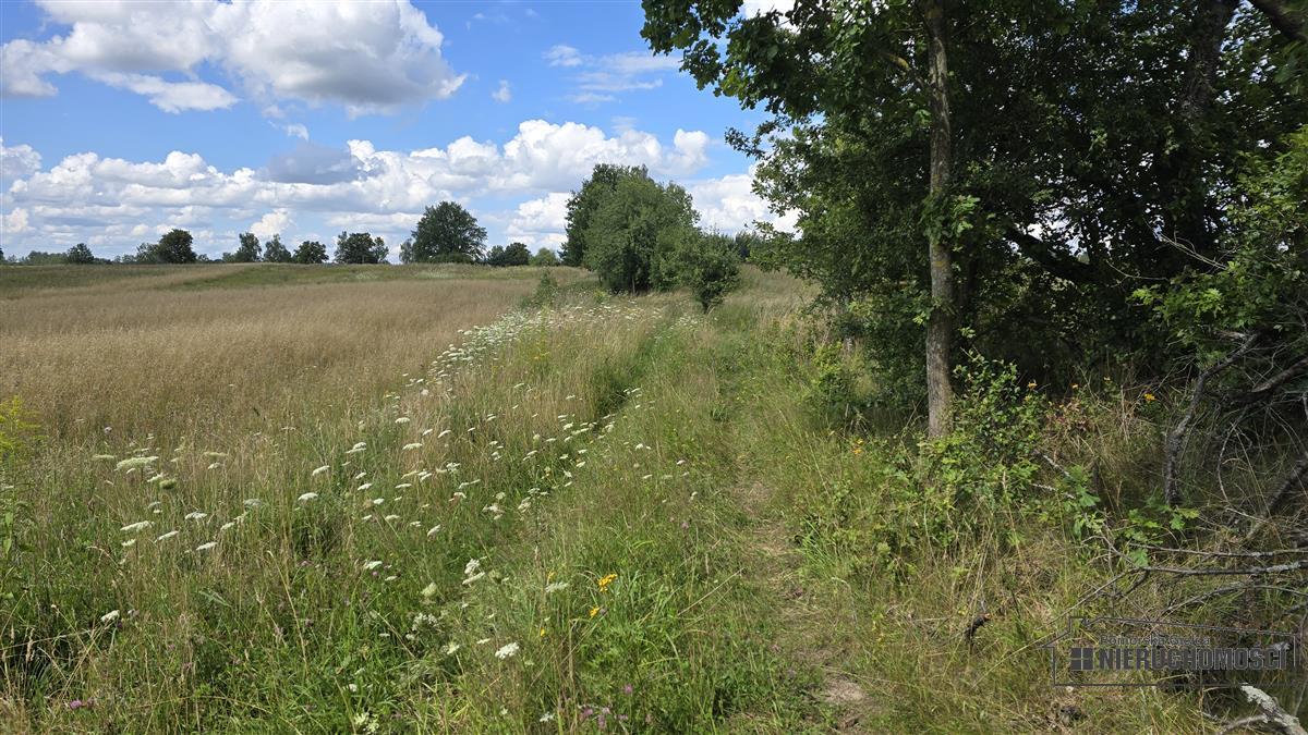 Sprzedaż Działka siedliskowa Silnowo