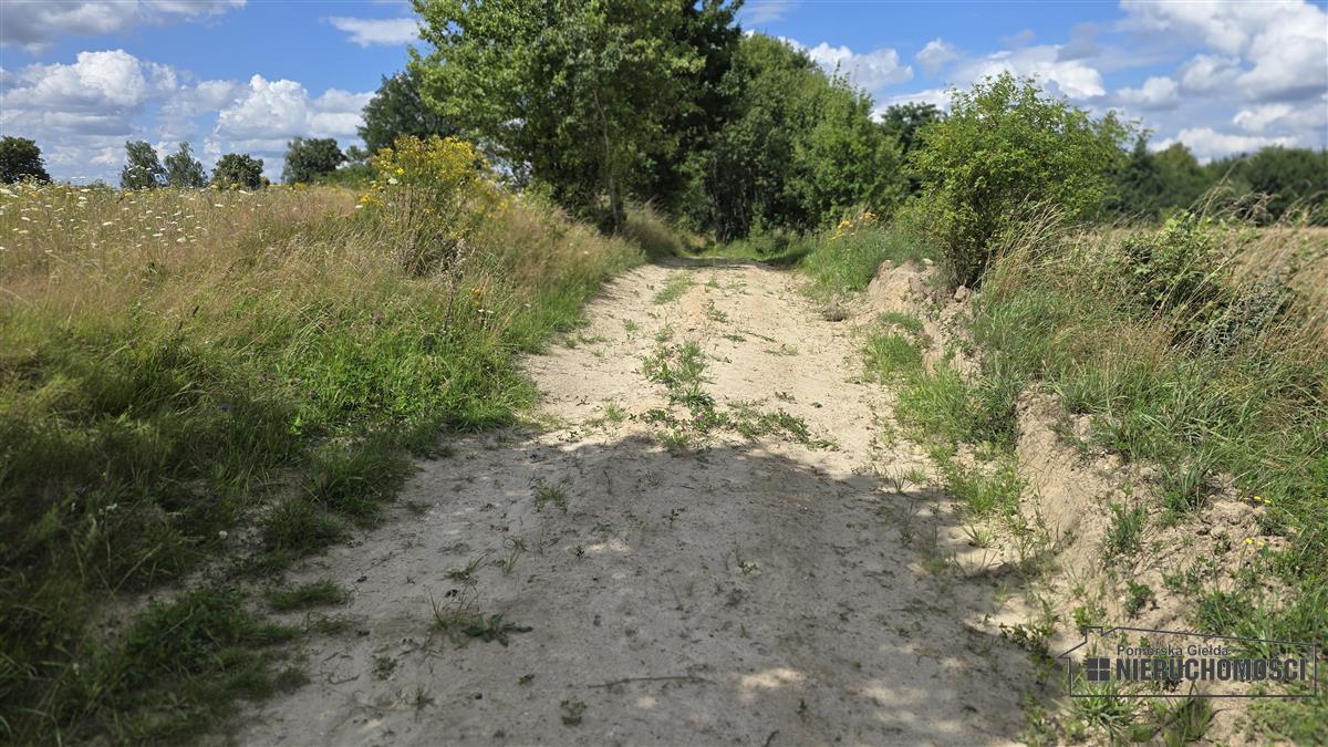 Sprzedaż Działka siedliskowa Silnowo