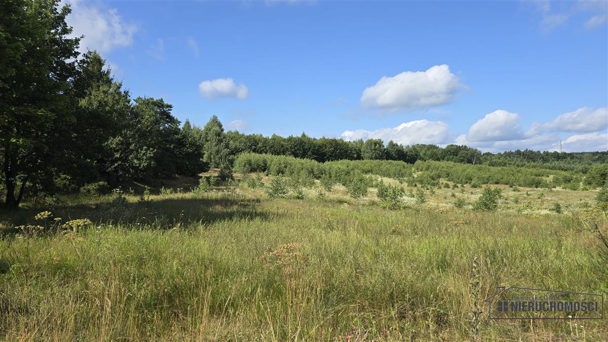 Sprzedaż Działka siedliskowa Silnowo