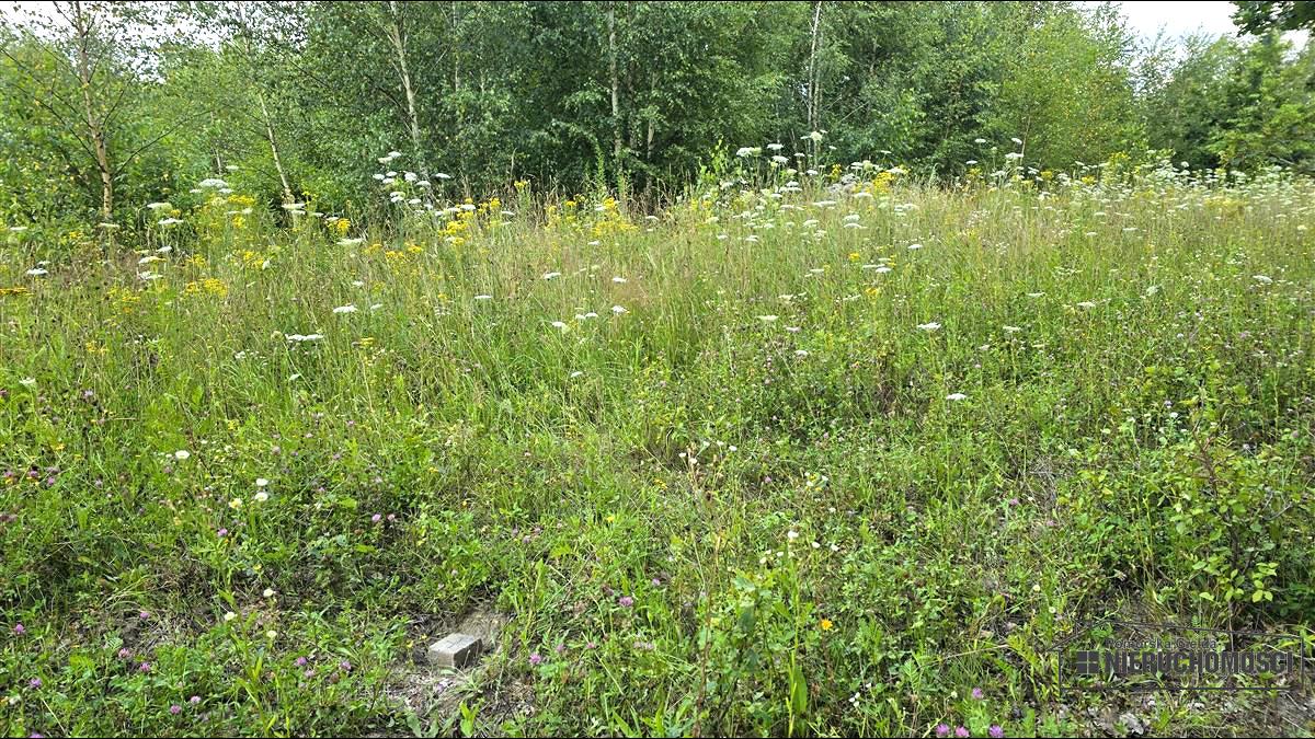 Sprzedaż Działka siedliskowa Silnowo