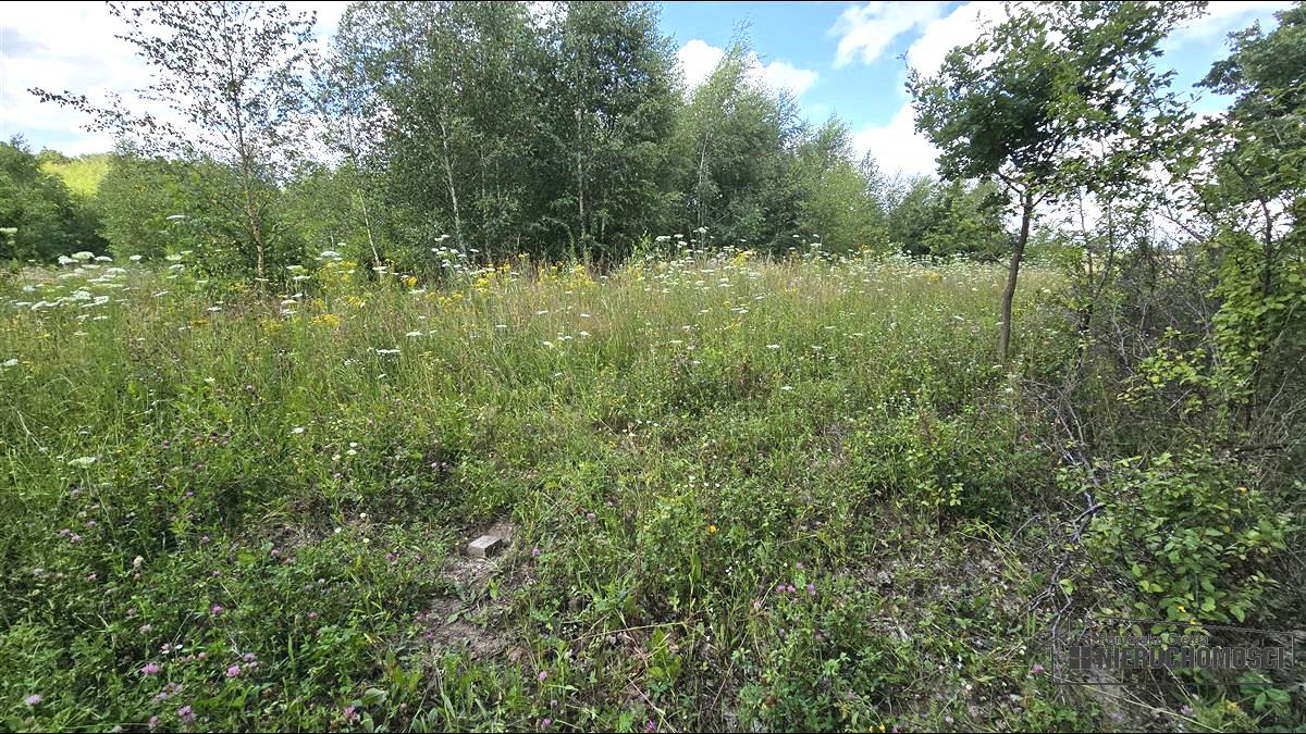 Sprzedaż Działka siedliskowa Silnowo