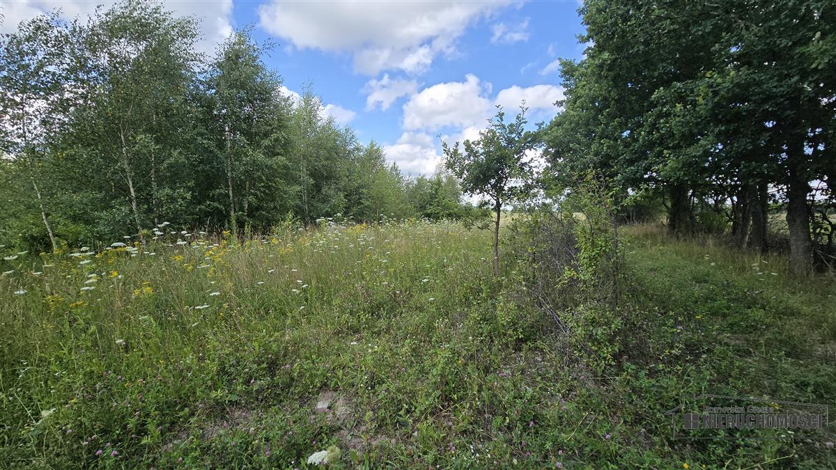 Sprzedaż Działka siedliskowa Silnowo