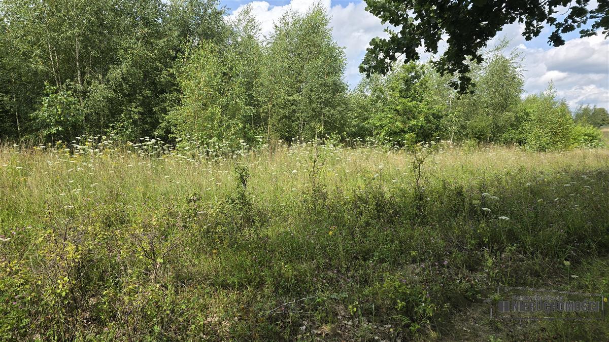 Sprzedaż Działka siedliskowa Silnowo