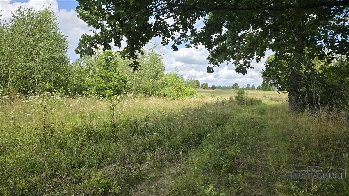 Sprzedaż Działka siedliskowa Silnowo