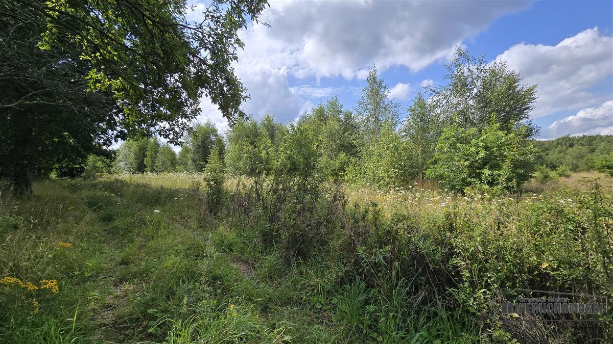 Sprzedaż Działka siedliskowa Silnowo