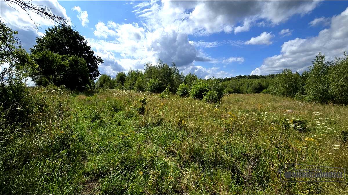 Sprzedaż Działka siedliskowa Silnowo