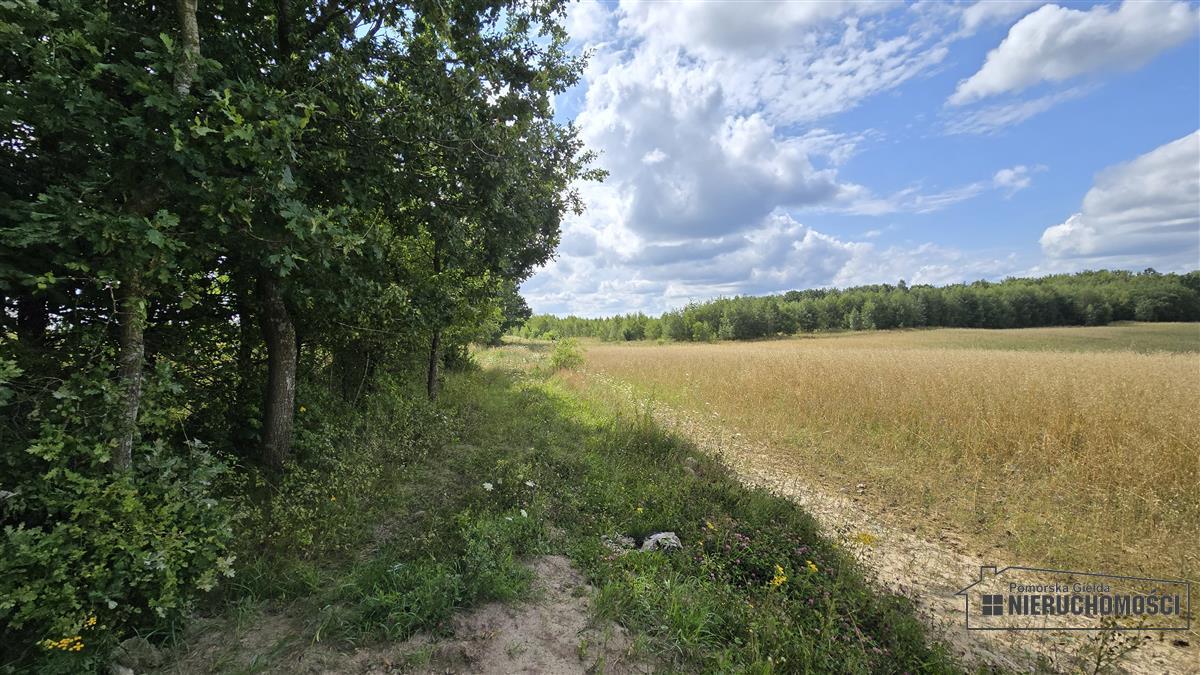 Sprzedaż Działka siedliskowa Silnowo