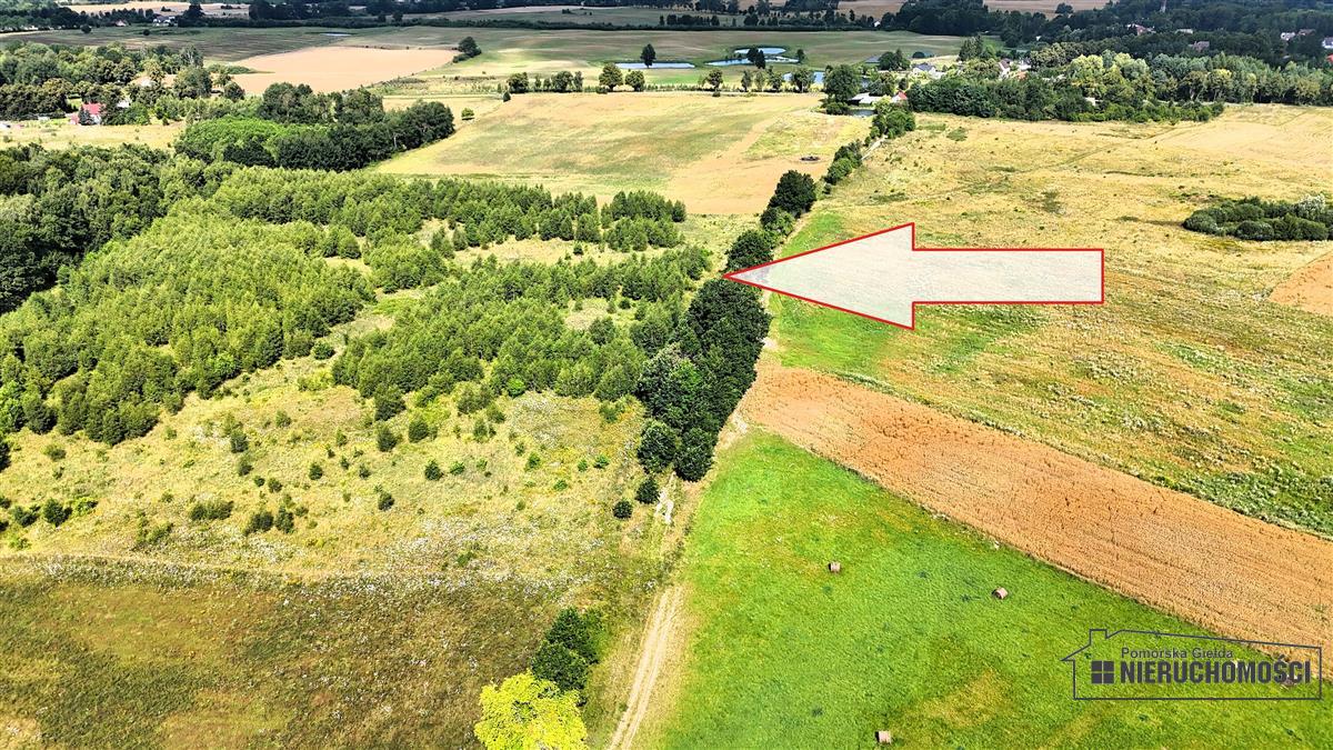 Sprzedaż Działka siedliskowa Silnowo