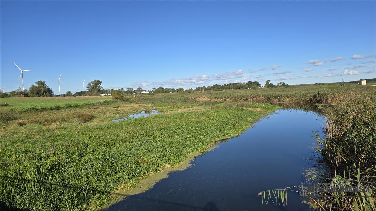 Sprzedaż Działka budowlana Nowogardek