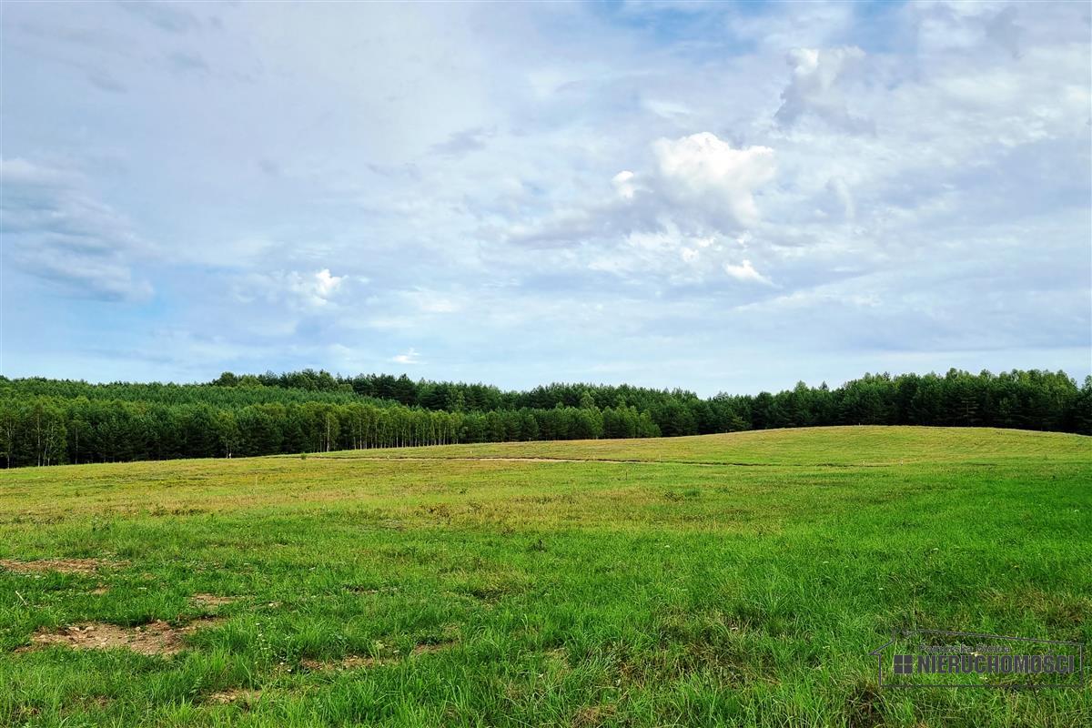 Sprzedaż Działka budowlana Dołgie